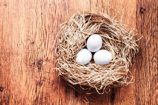 Eggs in a nest, easter composition. Copy space on the left
