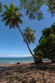 Sandy beach of the small town of Drake Bay, Puntarenas, Costa Rica