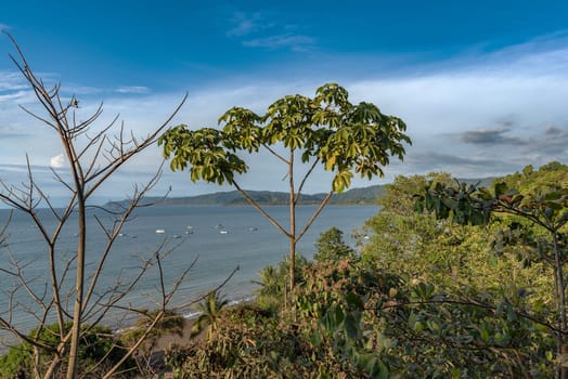 Sandy beach of the small town of Drake Bay, Puntarenas, Costa Rica