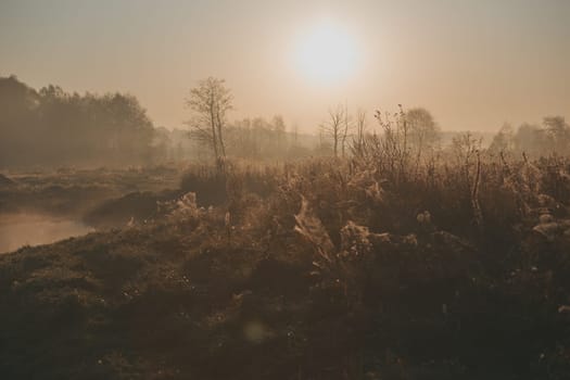 Sun rising above field and pond flooded with fog in the morning