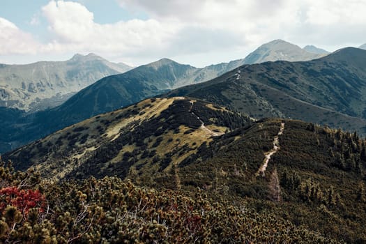 Tatra Mountains landscape. Scenic view of mountain rocky peaks, slopes, hills and valleys covered with grass, mugo pine and trees