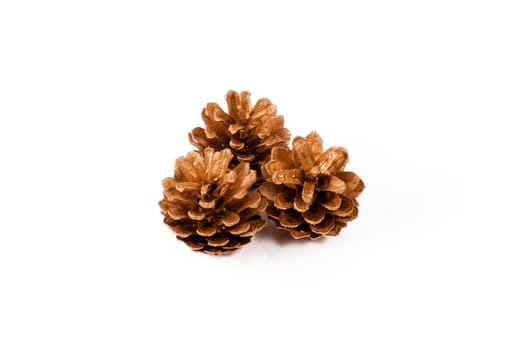 Christmas decoration of pine cones on white background