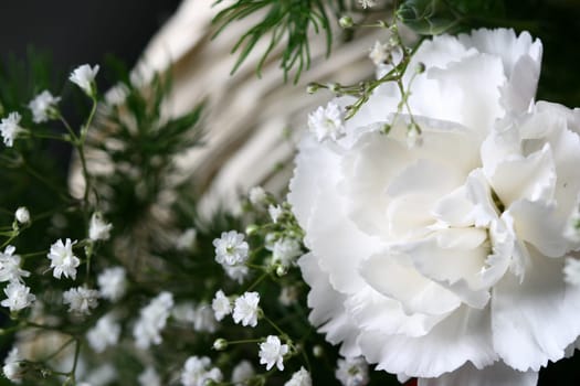 white flower close-up macro