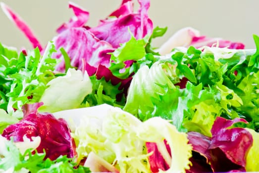 Fresh various salad leaves mixed together