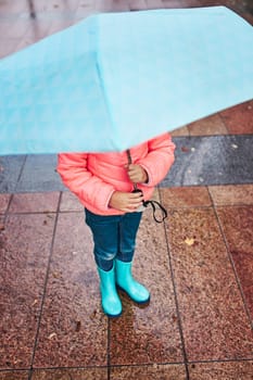 Little girl holding big blue umbrella during walk on rainy gloomy autumn day. View from above