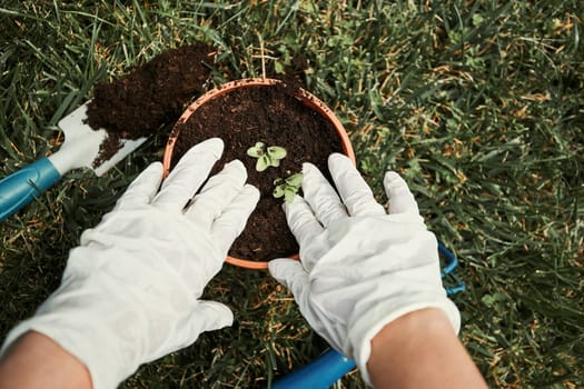 Gardener replanting plant into a new pot. Top view of female hands in gloves planting a plant. Using tools rake and shovel. Real people, authentic situations