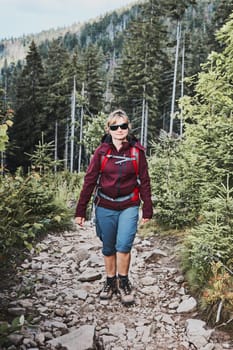 Woman with backpack hiking in mountains, spending summer vacation close to nature. Woman walking on path among bushes and trees
