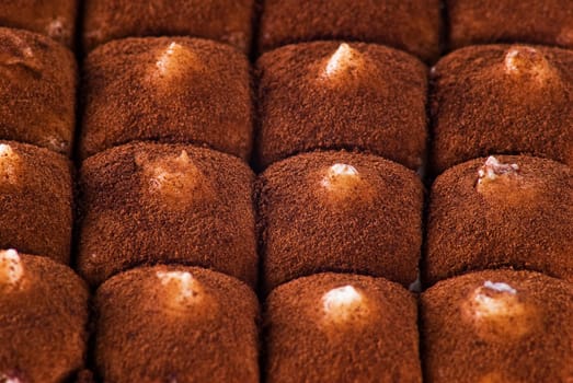 Close up of Italian tiramisu dessert