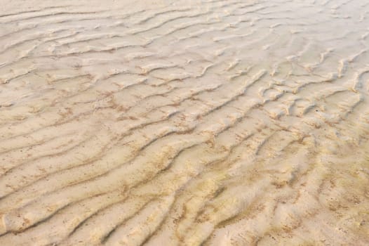 Pattern for design, Taxture of sand