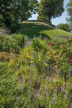 Flowers and trees in the Weißenburgpark in Stuttgart