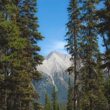 Mountain peak in the Canadian rockies framed by trees.