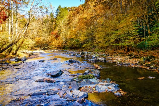 Scenic view of Big Laurel Creek in North Carolina in fall