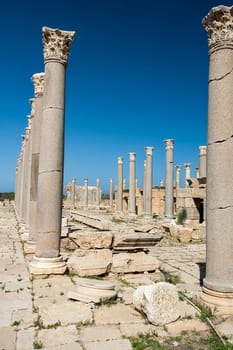 Archaeological site of Leptis Magna, Libya - 10/30/2006:  The Marketplace in the ancient Roman city of Leptis Magna.