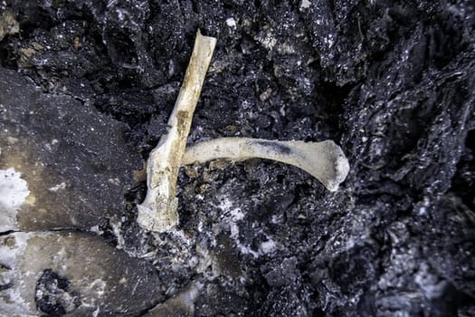 Detail of old crematorium with remains of human bones, cemetery