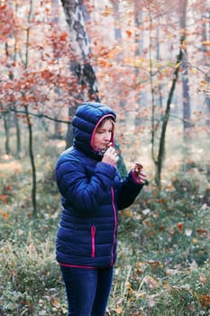 Woman smelling a mushroom picked in forest. Forest in autumn season. Colorful foliage on trees lit by morning sunlight. Natural nature forest landscape in autumn warm sunlight day. Real people, authentic situations