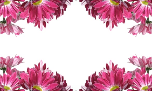 beautiful pink spring flower close-up