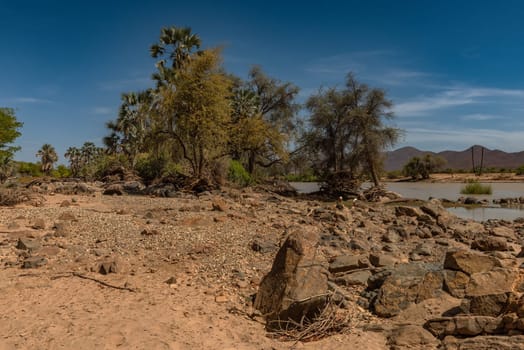 Landscape on the banks of the Kunene River, the border river between Namibia and Angola