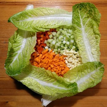 bunter Rohkostsalat mit Möhren,Pastinaken,Paprika und Staudensellerie