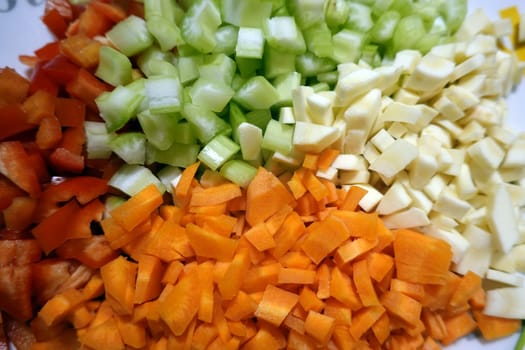 bunter Rohkostsalat mit Möhren,Pastinaken,Paprika und Staudensellerie