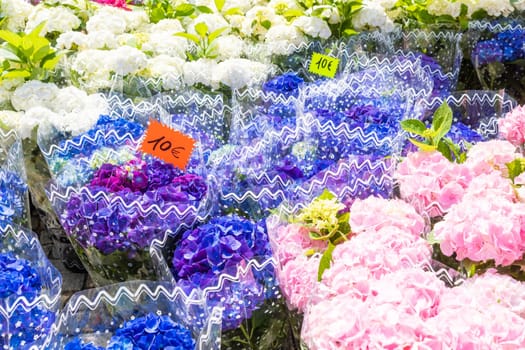 Flowers market on public street - agribusiness and flower shop