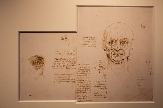 Turin, Italy - April, 2023: Leonardo da Vinci drawings on handmade cotton paper, Royal Library.