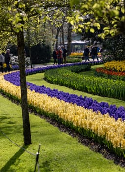 Keukenhof, Lisse Netherlands - April 18, 2023: Visitors at the Keukenhof Garden in Lisse, Netherlands.