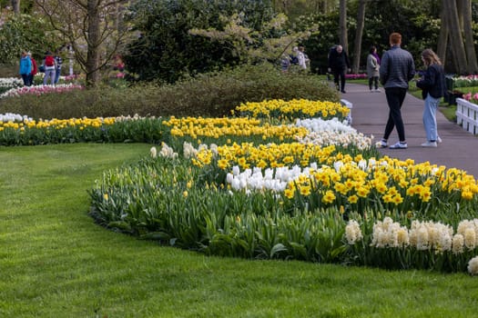 Keukenhof, Lisse Netherlands - April 18, 2023: Visitors at the Keukenhof Garden in Lisse, Netherlands.