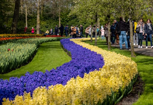 Keukenhof, Lisse Netherlands - April 18, 2023: Visitors at the Keukenhof Garden in Lisse, Netherlands.
