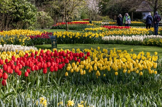Keukenhof, Lisse Netherlands - April 18, 2023: Visitors at the Keukenhof Garden in Lisse, Netherlands.