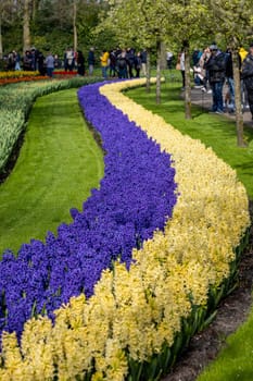 Keukenhof, Lisse Netherlands - April 18, 2023: Visitors at the Keukenhof Garden in Lisse, Netherlands.