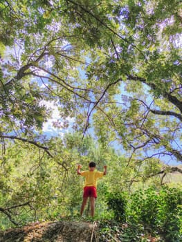 Triumphant child boy on top of a forest rock. Encourage children self-confidence concept