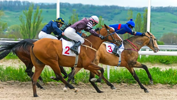 PYATIGORSK,RUSSIA - APRIL 30,2023:Race for the prize of the Opening of the racing season at the Pyatigorsk Hippodrome.Jockey Yury Tikhonov in front.