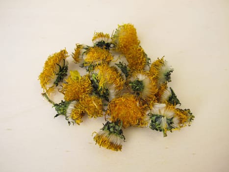 Dried dandelion flowers on a wooden board
