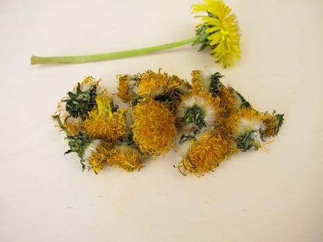 Dried dandelion flowers on a wooden board