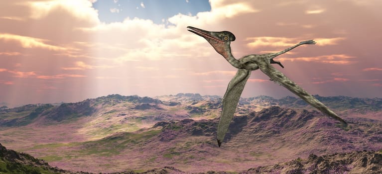 Computer generated 3D illustration with the pterosaur Pterodactylus flying over a barren landscape
