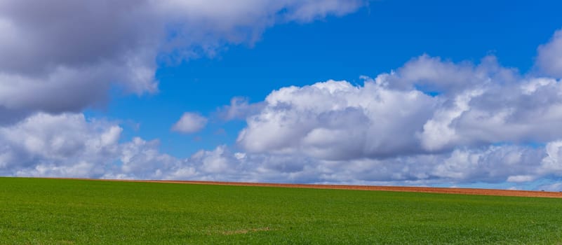 Green field and the sky in Zamora, near Puebla de Sanabria, Spain
