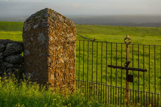 Iron gate in a farm in Extremadura, Sapin