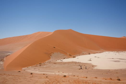 Panorama of red dunes from Hidden Vlei, Sossusvlei Namibia