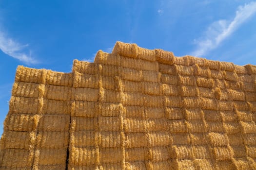 Square bales of straw in a stack, Badajoz, Spain