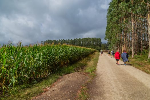 Navarre, Spain, 26 August, 2022: Pilgrims walk along the Camino De Santiago, the Way of St. James pilgrimage route, Navarra, Spain.