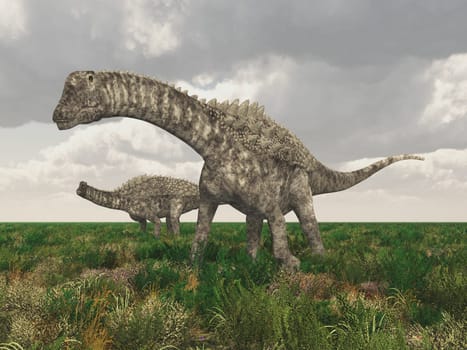 Computer generated 3D illustration with the dinosaur Ampelosaurus in a grassy landscape