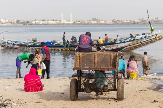 Dakar, Senegal. August 18, 2019: People buying and selling just landed fish on beach at Dakar, Senegal, West Africa