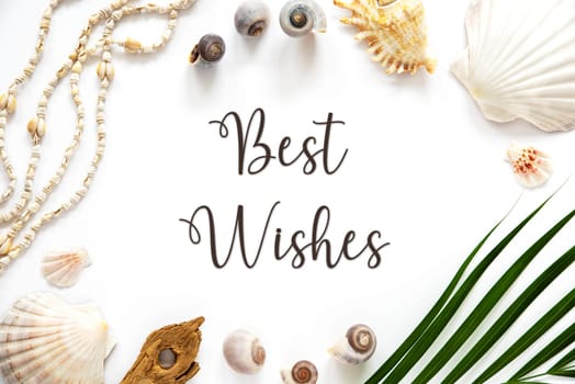White Summer Flat Lay, Top View, Decorated With Shells and Plants, With English Text Best Wishes
