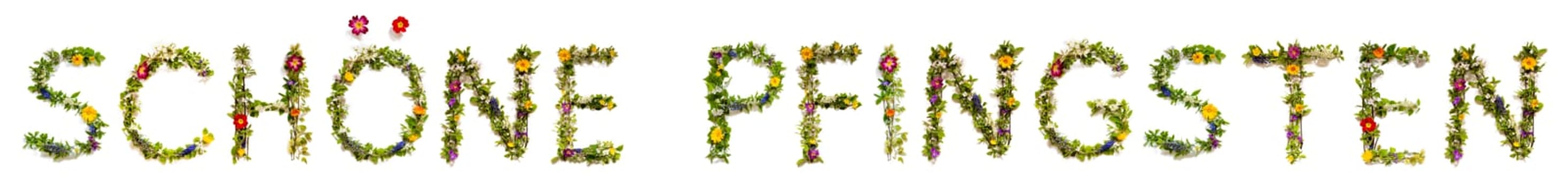 Blooming Flower Letters Building German Word Schoene Pfingsten Means Happy Pentecost. Colorful Spring and Summer Blossoms. White Isolated Background.
