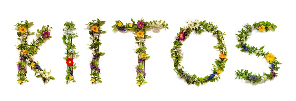 Colorful Flowers Building Finnish Text Kiitos, Means Thank You in English, Some Green And Some Spring Flowers on Isolated White Background, Symbolic Meaning, Quote