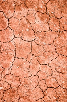 Cracked red ground. Visible cracks caused by hot weather and particular environment