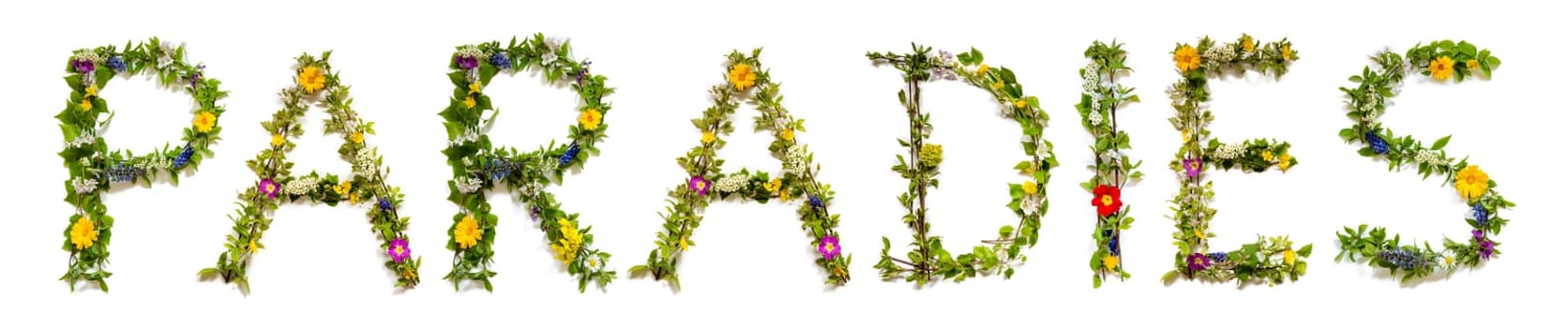 Colorful Flowers Building German Text Paradies, Means Paradise in English, Some Green And Some Spring Flowers on Isolated White Background, Symbolic Meaning, Quote