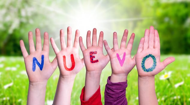 Children Hands Building Colorful Spanish Word Nuevo Means New. Sunny Green Grass Meadow As Background.