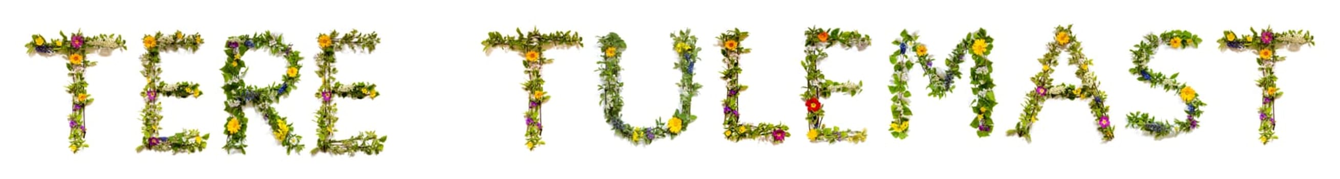 Colorful Flowers Building Estonian Text Tere Tulemast, Means Welcome in English, Some Green And Some Spring Flowers on Isolated White Background, Symbolic Meaning, Quote