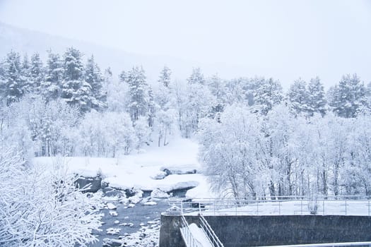 Winter landscape in Scandinavia. With snow covered trees by a small stream. Landscape photo from the north